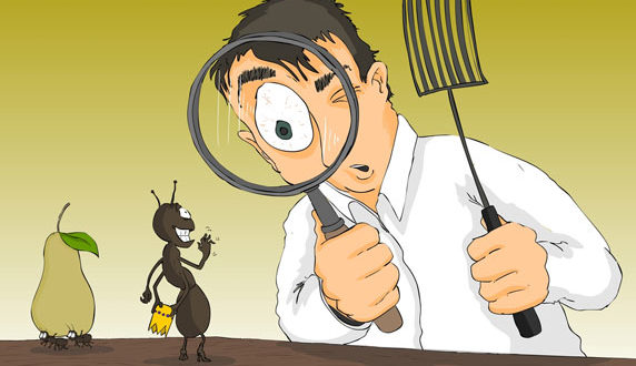 مكافحة حشرات بجده