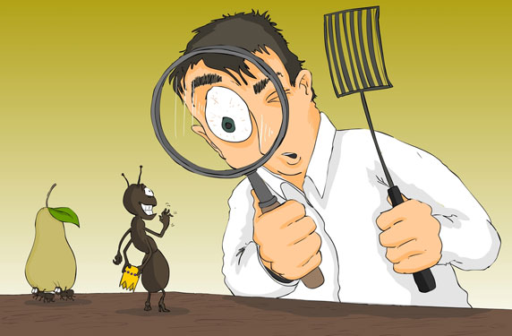 %d8%ad%d8%b4%d8%b1%d8%a7%d8%aa2