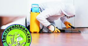 مكافحة حشرات بمكة