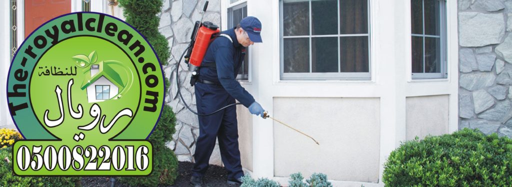 مكافحة حشرات بجدة