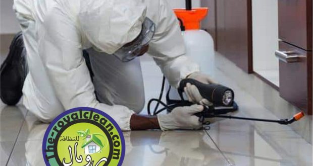 شركة مكافحة حشرات بالطائف
