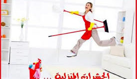 مكافحة حشرات مكة