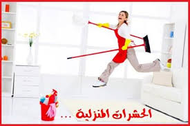 مكافحة حشرات مكة