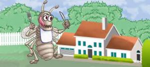 مكافحة حشرات مكة