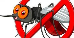 مكافحة حشرات بمكة