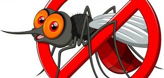 مكافحة حشرات بمكة