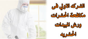 مكافحة حشرات مكة