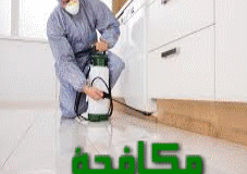 مكافحة حشرات بمكة