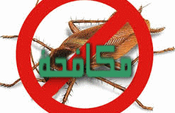مكافحة الحشرات بمكة