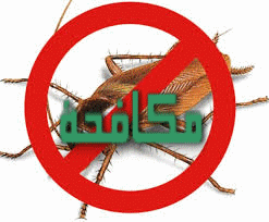مكافحة الحشرات بمكة