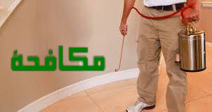 مكافحة حشرات بمكة