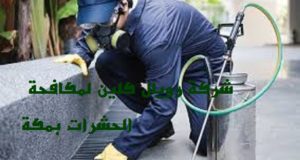 مكافحة حشرات بمكة