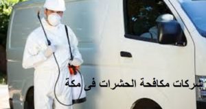 مكافحة الحشرات فى مكة
