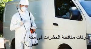 مكافحة الحشرات فى مكة