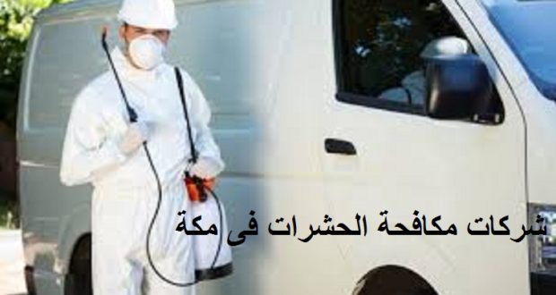 مكافحة الحشرات فى مكة
