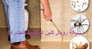 مكافحة حشرات فى مكة