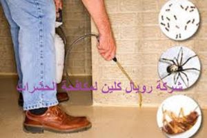 مكافحة حشرات فى مكة