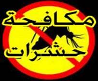 شركة مكافحة حشرات بمكه
