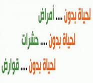 شركة مكافحة حشرات بمكه