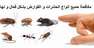 شركة مكافحة حشرات بمكه