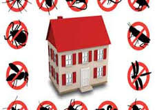 شركة مكافحة حشرات بمكه