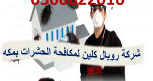شركة مكافحة الحشرات بمكه